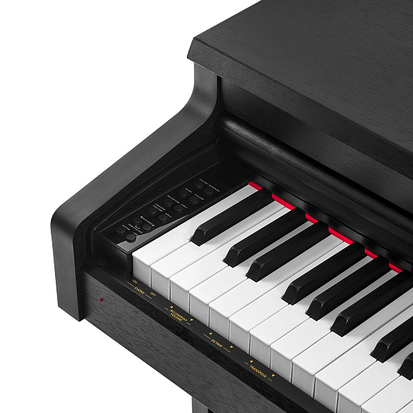 MUZPLANET YDP-145B - Цифровое пианино