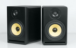 Axelvox TRP-6A Студийный аудио монитор (двухполосный)