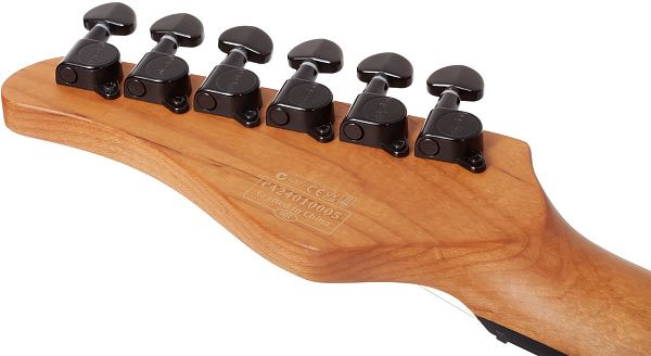Электрогитара SCHECTER [PT STANDARD BFBB] электрогитара 6-струнная, корпус: красное дерево, топ из капа, гриф: печеный клен, накладка: палисандр, 22 лада, цвет Black Fade Burst Burl (BFBB)