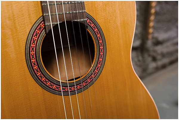 PEREZ 620 Cedar - Гитара классическая 4/4