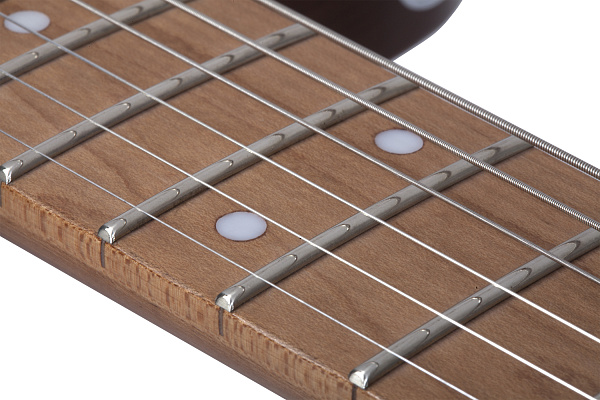 Электрогитара SCHECTER [PT VAN NUYS G.NAT ASH] электрогитара 6-струнная, корпус: ясень, гриф: запеченый клен, 22 лада, цвет: Gloss Natural Ash (GNAT ASH)