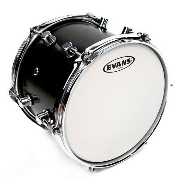 B12G12 G12 Coated Пластик для малого и том барабана 12”, с покрытием, Evans
