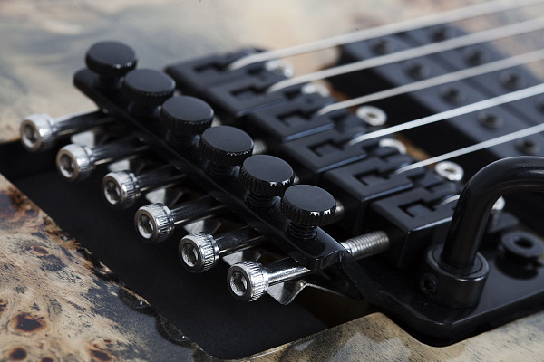 Электрогитара SCHECTER [C-6 FR PRO CB] электрогитара 6-струнная, корпус: красное дерево, топ: кап, гриф: клен 3 куска, накладка: венге, 24 лада, FloydRose, цвет: Charcoal Burst (CB)