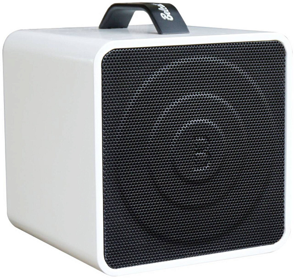 BELCAT Busker Box Acoustic 40 - Комбоусилитель для акустической гитары