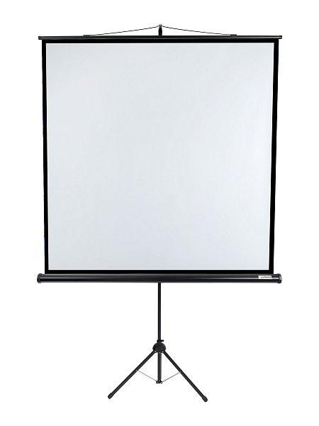 [LEV-100108] Экран на штативе Lumien [Eco View] 203x203см (раб.область 195х195 см) (109") Matte White 1:1