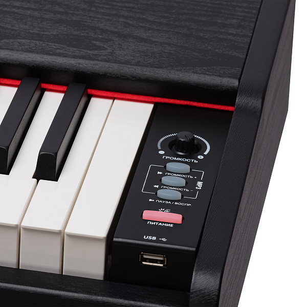 ROCKDALE Keys RDP-3088 - Цифровое пианино