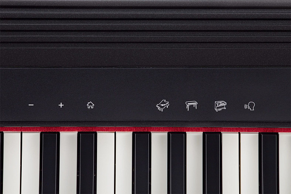 Портативное цифровое пианино ROLAND [GO:PIANO] (61 клавиша) чувствительность к скорости касания, 40 тембров, Bluetooth, метроном, рекордер, эффекты (хорус, реверберация), работа от батареек, вес 3,9 кг.