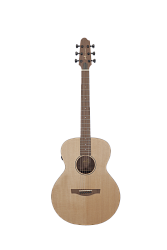 Covenant 170RTE - гитара трансакустическая с чехлом