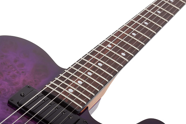 Электрогитара SCHECTER [PT STANDARD PBB] электрогитара 6-струнная, корпус: красное дерево, топ из капа, гриф: печеный клен, накладка: палисандр, 22 лада, цвет Purple Burst Burl (PBB)