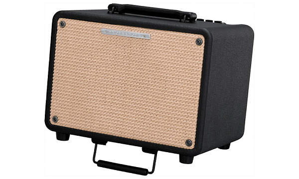 IBANEZ T30-U TROUBADOUR ACOUSTIC COMBO комбо для а