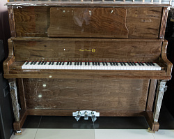 Don Music DM-126NT Пианино акустическое, цвет орех