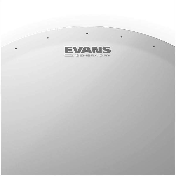 EVANS B14DRY - Пластик 14"