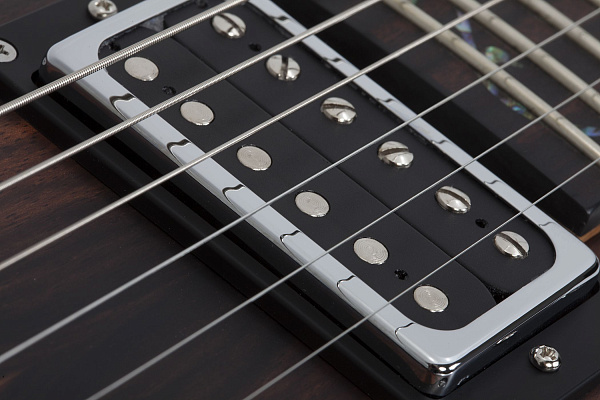 Электрогитара SCHECTER [C-1 EXOTIC TREM  EBONY] электрогитара 6-струнная, корпус: красное дерево, топ: черное дерево, гриф: запеченый клен, накладка: черное дерево, 24 лада, цвет: Ebony