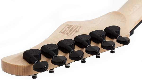 Электрогитара SCHECTER [C-6 FR PRO CB] электрогитара 6-струнная, корпус: красное дерево, топ: кап, гриф: клен 3 куска, накладка: венге, 24 лада, FloydRose, цвет: Charcoal Burst (CB)
