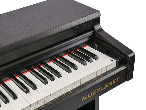 Muzplanet YDP-145R - Цифровое пианино