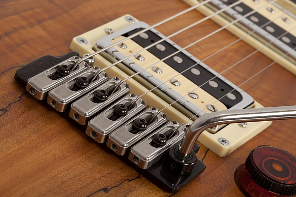Электрогитара SCHECTER [C-1 EXOTIC SPALTED MAPLE SNVB] электрогитара 6-струнная, корпус: красное дерево, топ: клен, гриф: клен, накладка: черное дерево, 24 лада, цвет:  Satin Natural Vintage Burst (SNVB)
