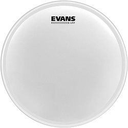 EVANS 10' UV1 CTD - Oднослойный пластик с покрытием 10"