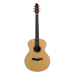 Covenant 150RTE - гитара трансакустическая с чехлом