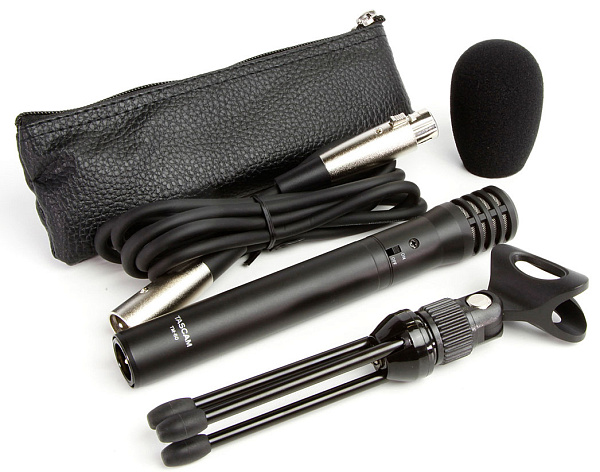TASCAM TM-60 студийный конденсаторный микрофон, кардиоида 