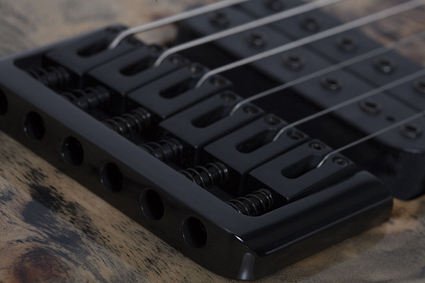 Электрогитара SCHECTER [C-6 PRO ARB] электрогитара 6-струнная, корпус: красное дерево, топ: кап, гриф: клен 3 куска, накладка: венге, 24 лада, цвет: Aurora Burst (ARB)