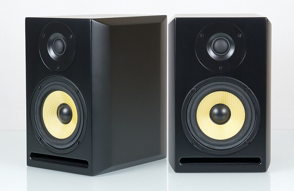 Axelvox TRP-5A Студийный аудио монитор (двухполосный)