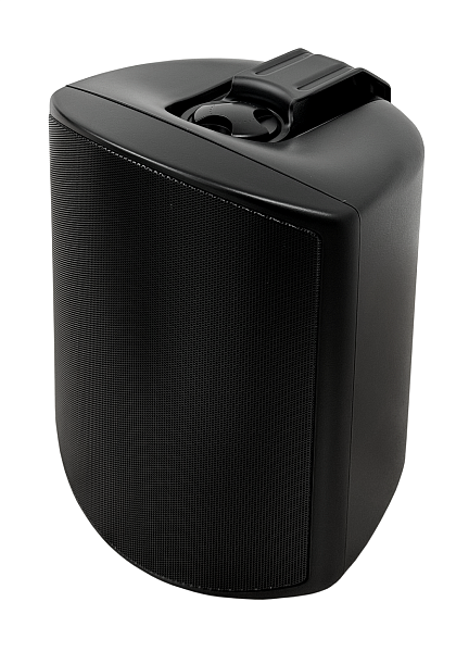SVS Audiotechnik WSP-6B Pro Всепогодная трансляционная акустическая система 