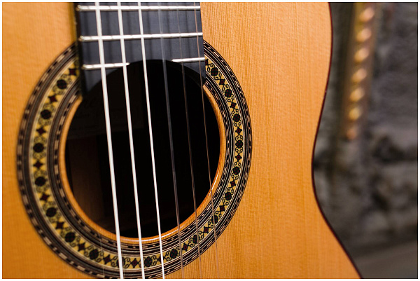 PEREZ 650 Cedar - Гитара классическая 4/4