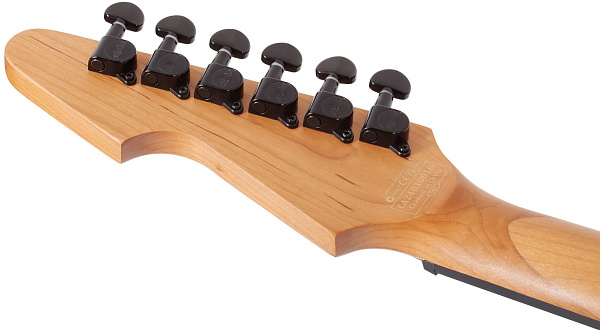 Электрогитара SCHECTER [AVENGER STANDARD BB] электрогитара 6-струнная, корпус: красное дерево, топ из капа, гриф: печеный клен, накладка: палисандр, 24 лада, цвет BloodBurst (BB)