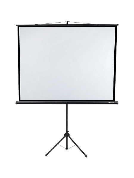 [LEV-100110] Экран на штативе Lumien [Eco View] 128x171см (раб.область122х165 см) (81") Matte White 4:3