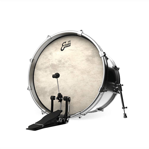 EVANS BD22GB4CT - Пластик 22"