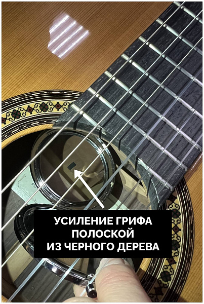 PEREZ 650 Cedar - Гитара классическая 4/4