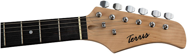 TERRIS TST-39 BK - Электрогитара шестиструнная