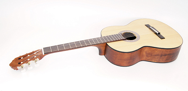 Parkwood PC90 - Классическая гитара 4/4 с чехлом