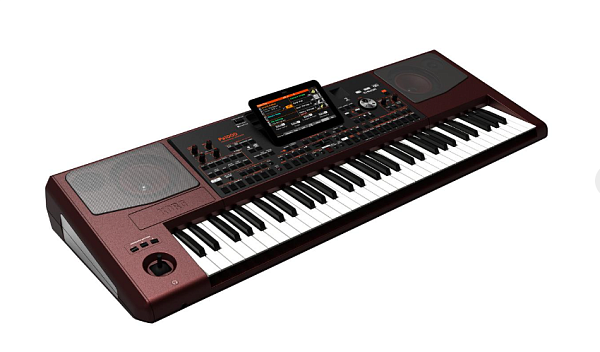 KORG PA1000 - Профессиональная аранжировочная станция, 61 клавиша