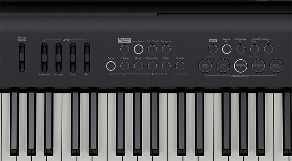 Портативное цифровое пианино ROLAND [FP-E50] с функциями аранжировщика  с 88 клавишами (PHA-4 Standard, Ivory Feel), полифония 256 голосов, 1018 тембров, Bluetooth 4.2, автоаккомпанемент (177 стилей), рекордер (WAV, до 390 мин), динамики 12 см (11 Втх2),