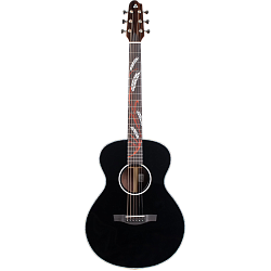 Covenant Focus Black XE - гитара электроакустическая с чехлом