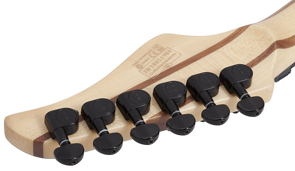 Электрогитара SCHECTER REAPER-6 FR S CB