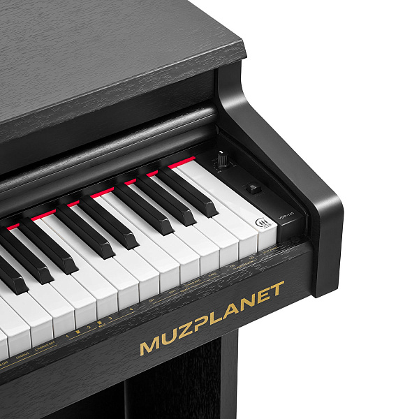 MUZPLANET YDP-145B - Цифровое пианино