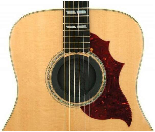PLANET WAVES PW-SH-01 - Заглушка для розетки