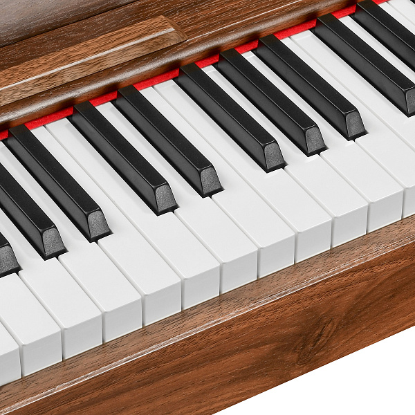 EMILY PIANO D47 WALNUT - Цифровое фортепиано