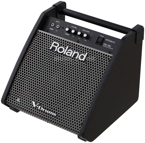 ROLAND PM-100 - Сценический монитор