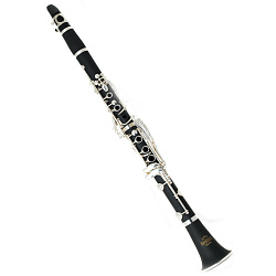 ROY BENSON CB-318 Bb - Кларнет