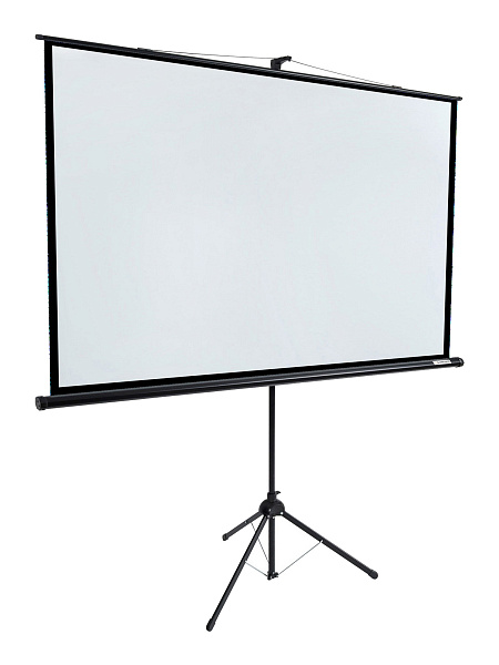 [LEV-100110] Экран на штативе Lumien [Eco View] 128x171см (раб.область122х165 см) (81") Matte White 4:3
