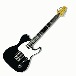 Greg Bennett FA1/BK Электрогитара типа Telecaster, цвет черный.