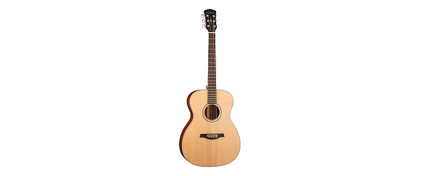 Parkwood S22-GT - Акустическая гитара