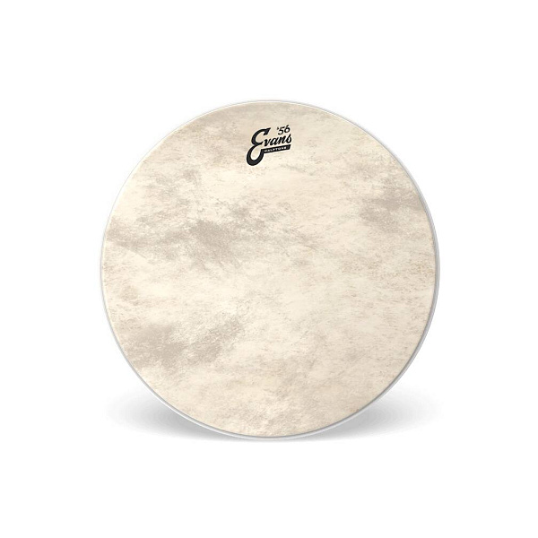 EVANS BD22GB4CT - Пластик 22"