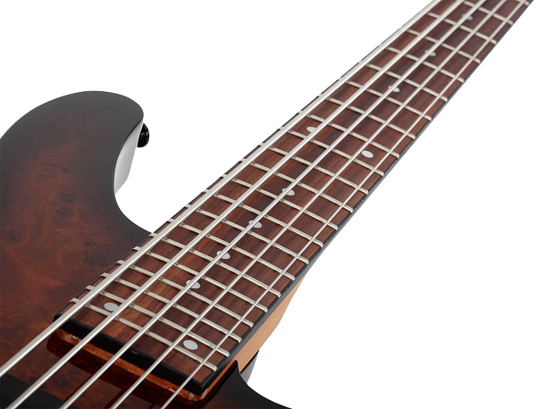 Бас-гитара SCHECTER [C-5 STANDARD TB] бас-гитара 5-струнная, корпус: красное дерево, топ из капа, гриф: печеный клен, накладка: палисандр, 24 лада, цвет Tobacco Burl (TB)