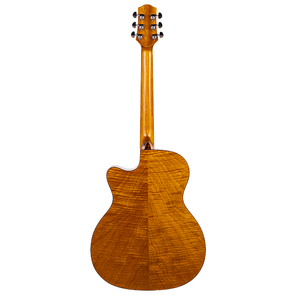 Aion Q10 - Акустическая гитара