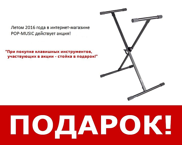 Синтезатор ROLAND [BK-3] с автоаккомпанементом, 61 клавишей (чувствительными к скорости нажатия). Полифония: 128 голосов, 851 тембр, 250 ритмов, эффекты, встроенный динамик (2 ? 7,5 Вт), USB, MIDI. Вес: 7,5 кг.