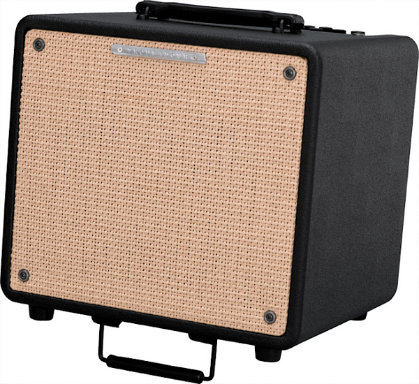 IBANEZ T80N-U TROUBADOUR ACOUSTIC COMBO комбо для акустической гитары, 80 ватт, 10' коаксиальный дин
